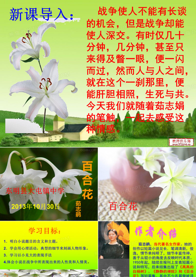 百合花