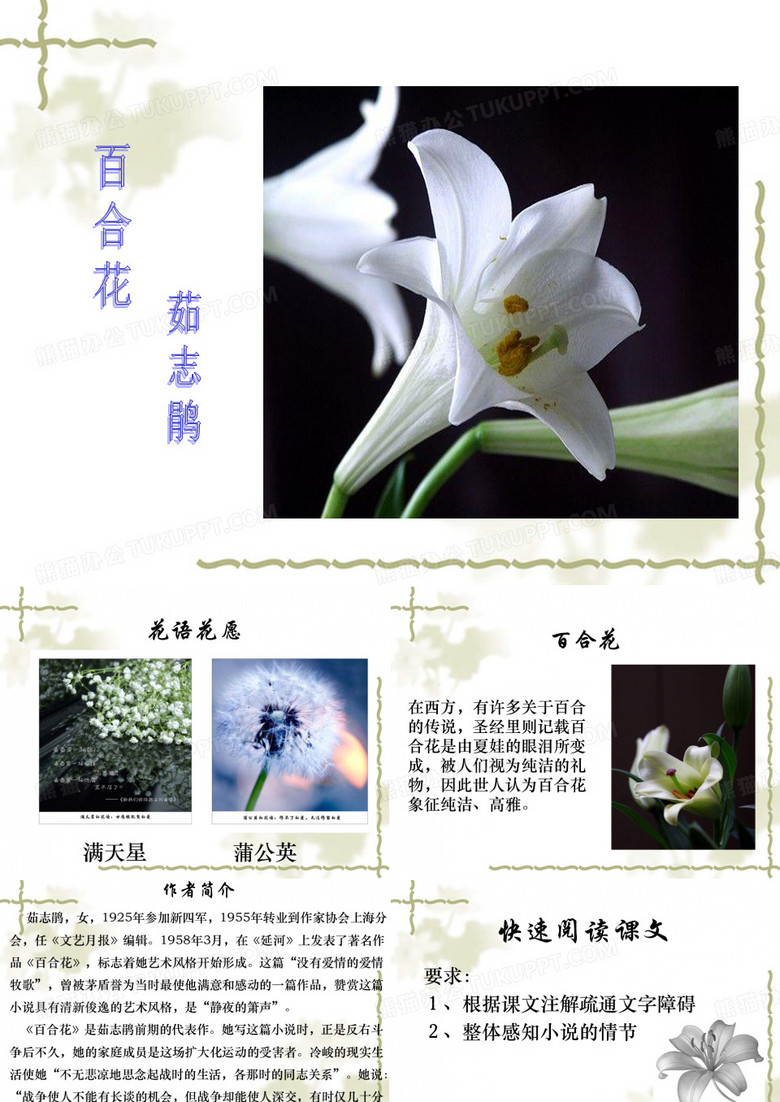 《百合花》茹志娟