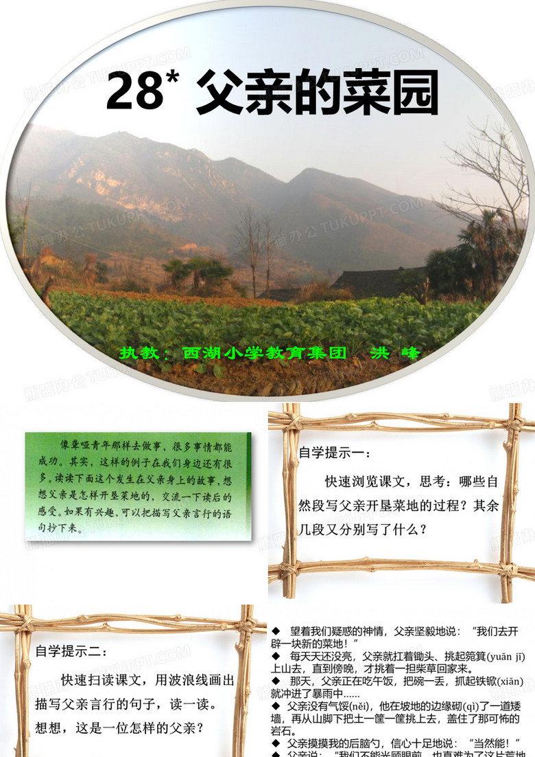 《父亲的菜园》