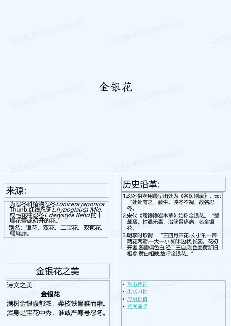金银花 PPT