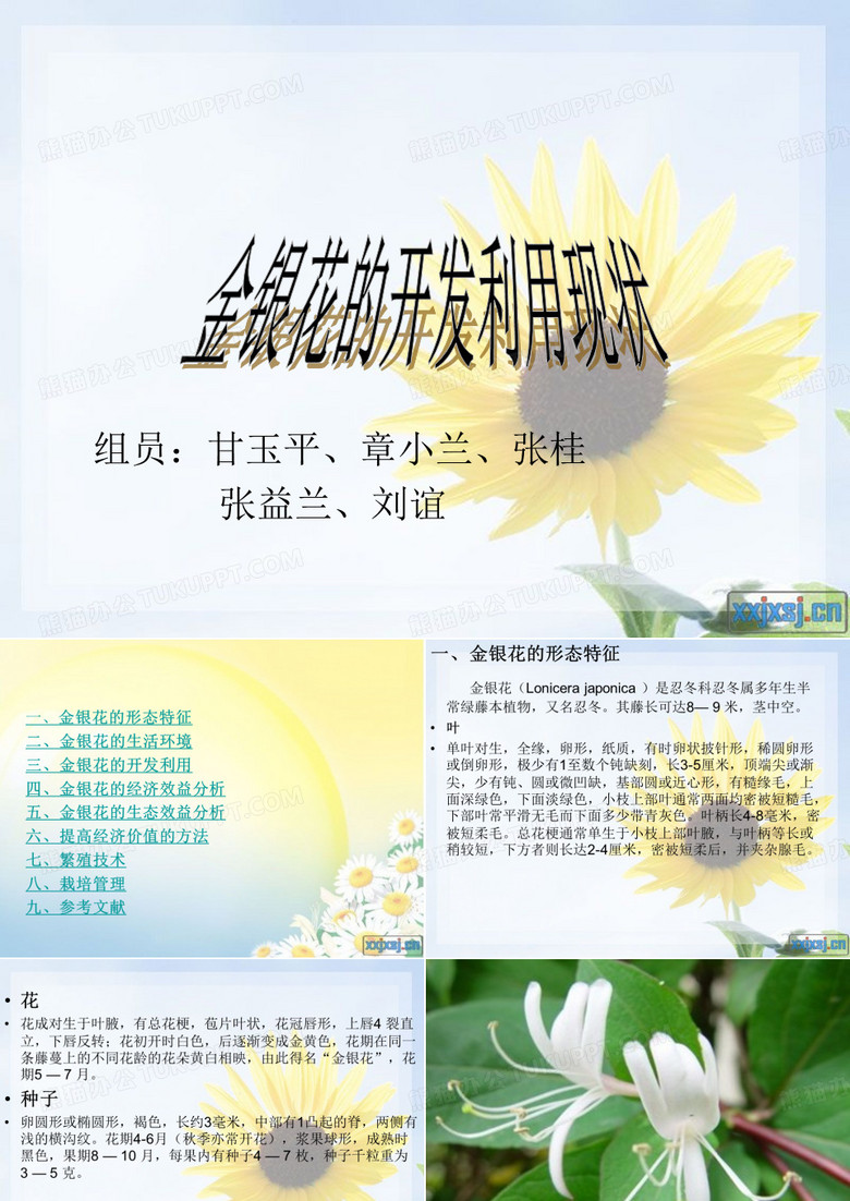 金银花的开发利用现状