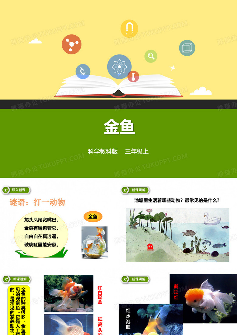 《金鱼》