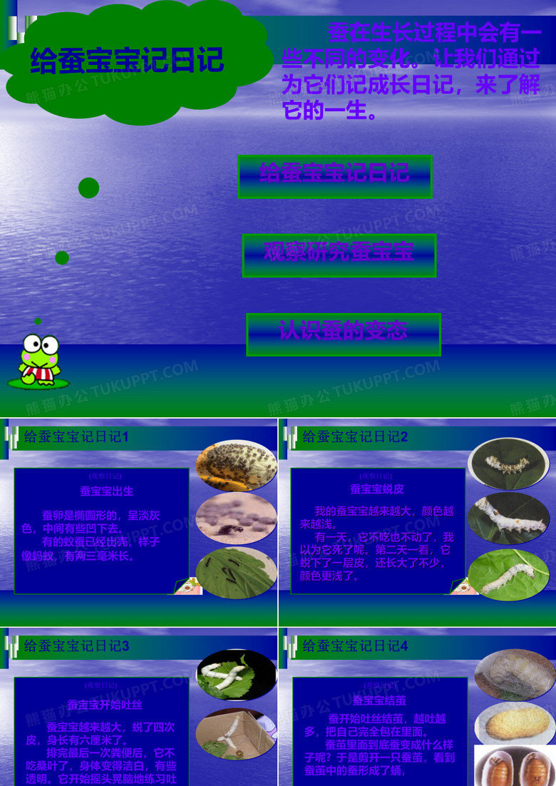 我们来养蚕之给蚕宝宝写日记