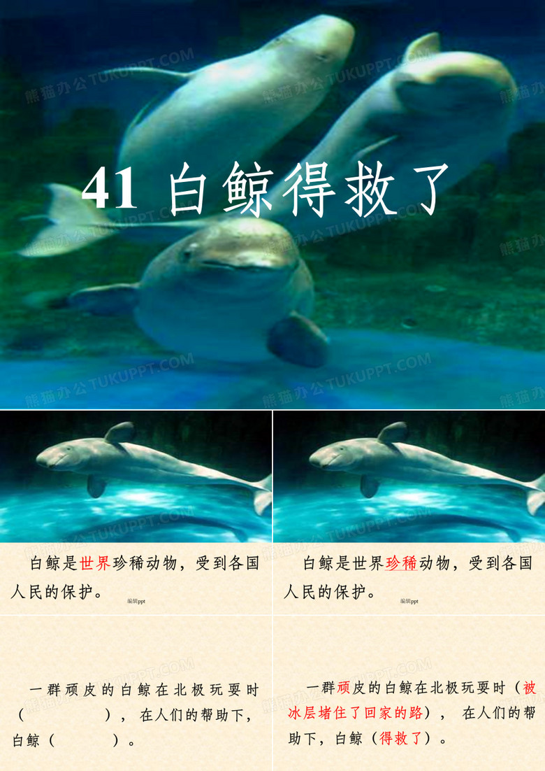 沪教版二年级上册白鲸得救了