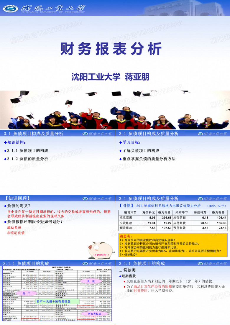 负债项目的构成及质量分析