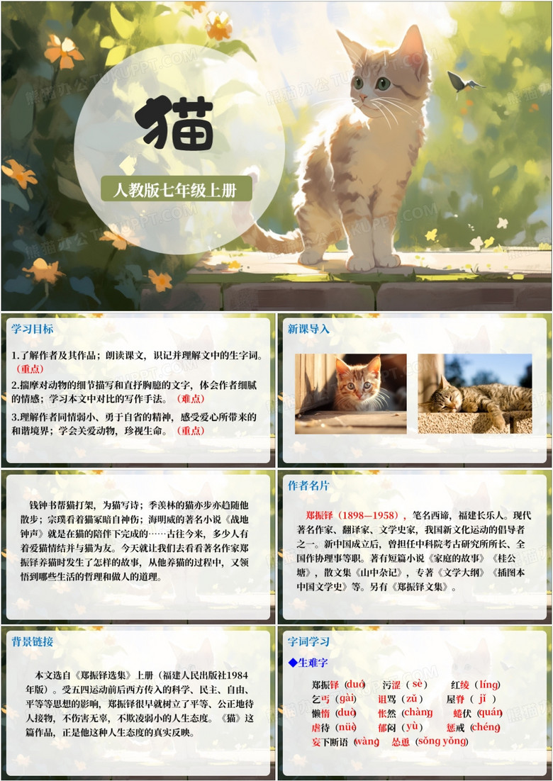插画风七年级上册猫PPT模板