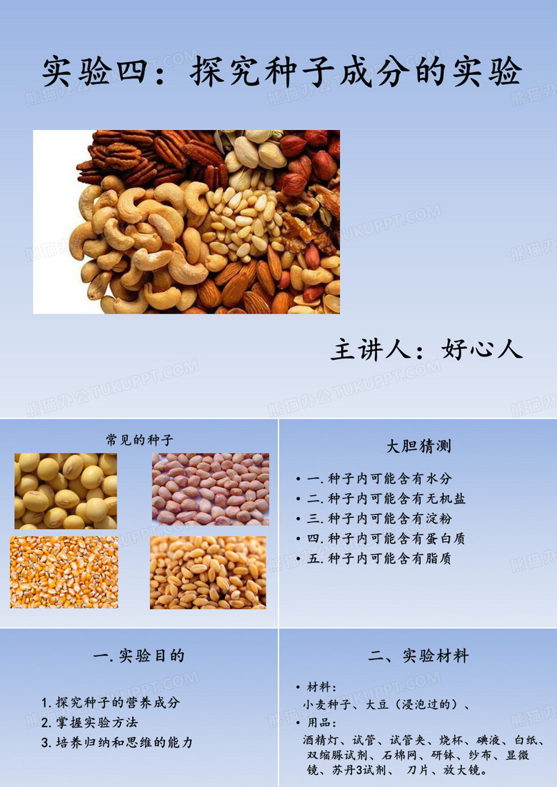 探究种子的成分