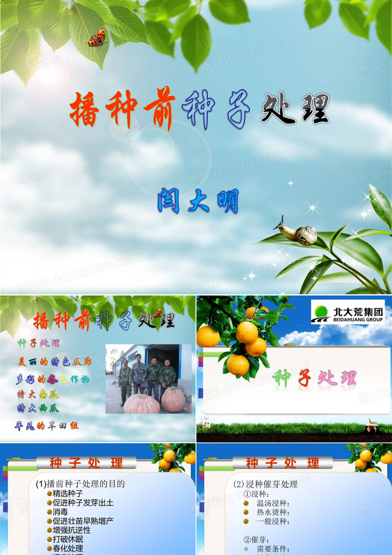 播种前种子处理