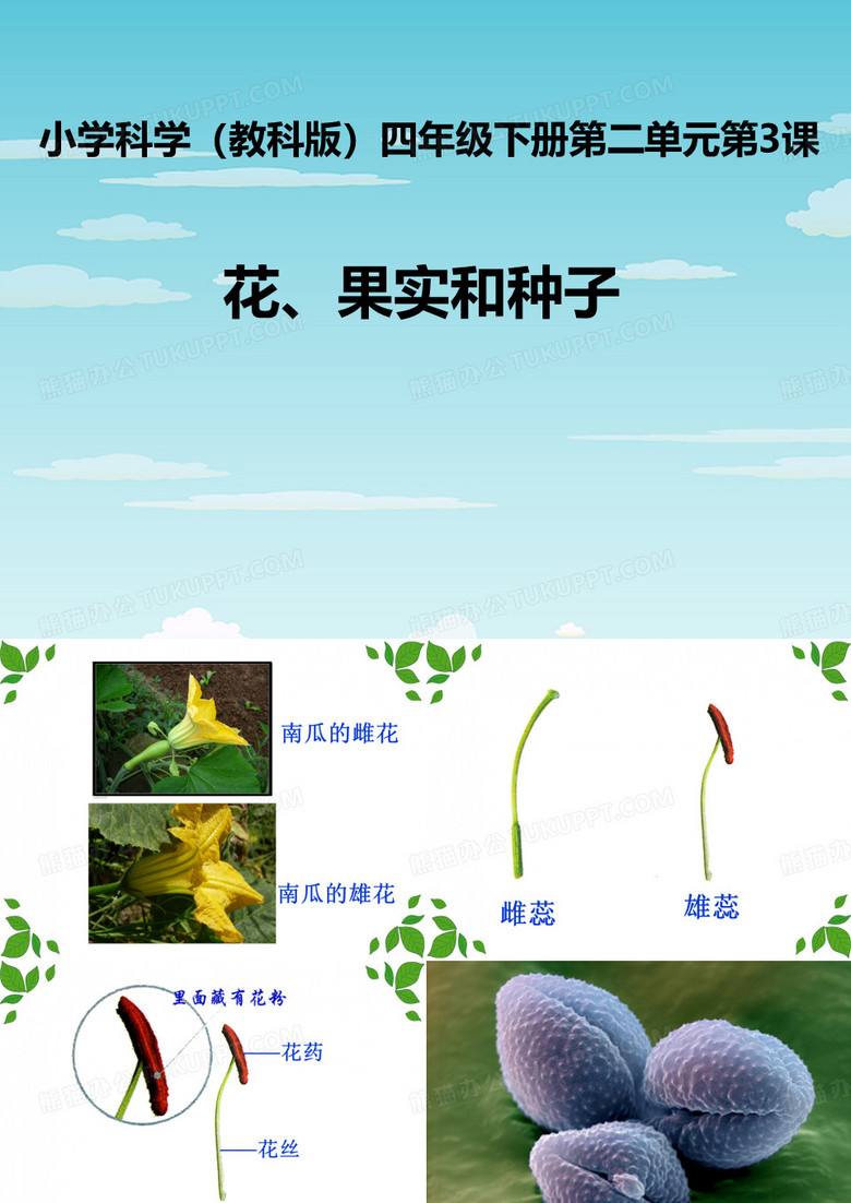 花、果实和种子