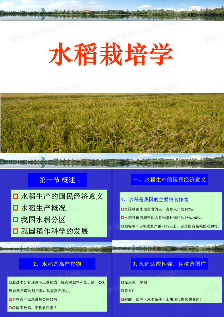 作物栽培学：水稻栽培学