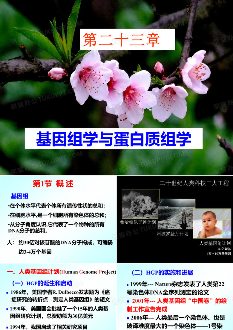 23 基因组学与蛋白质组学