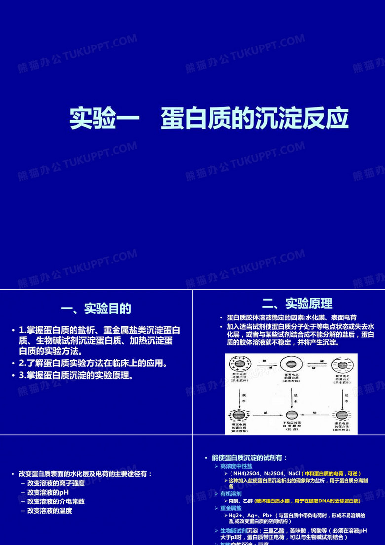 实验一蛋白质的沉淀反应——医用化学实验