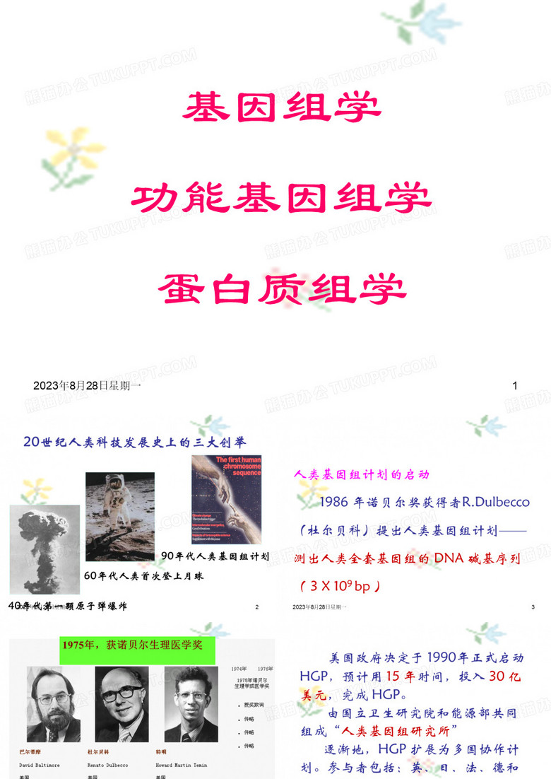 基因组学、功能基因组学、蛋白质组学