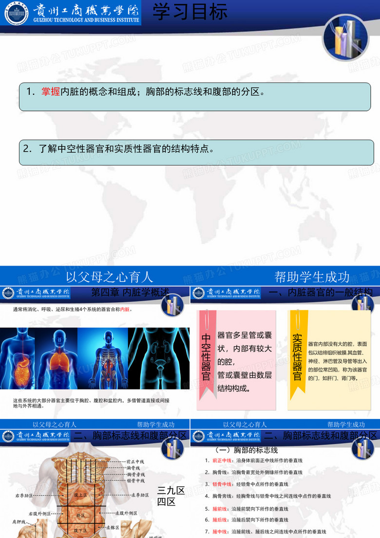 内脏学