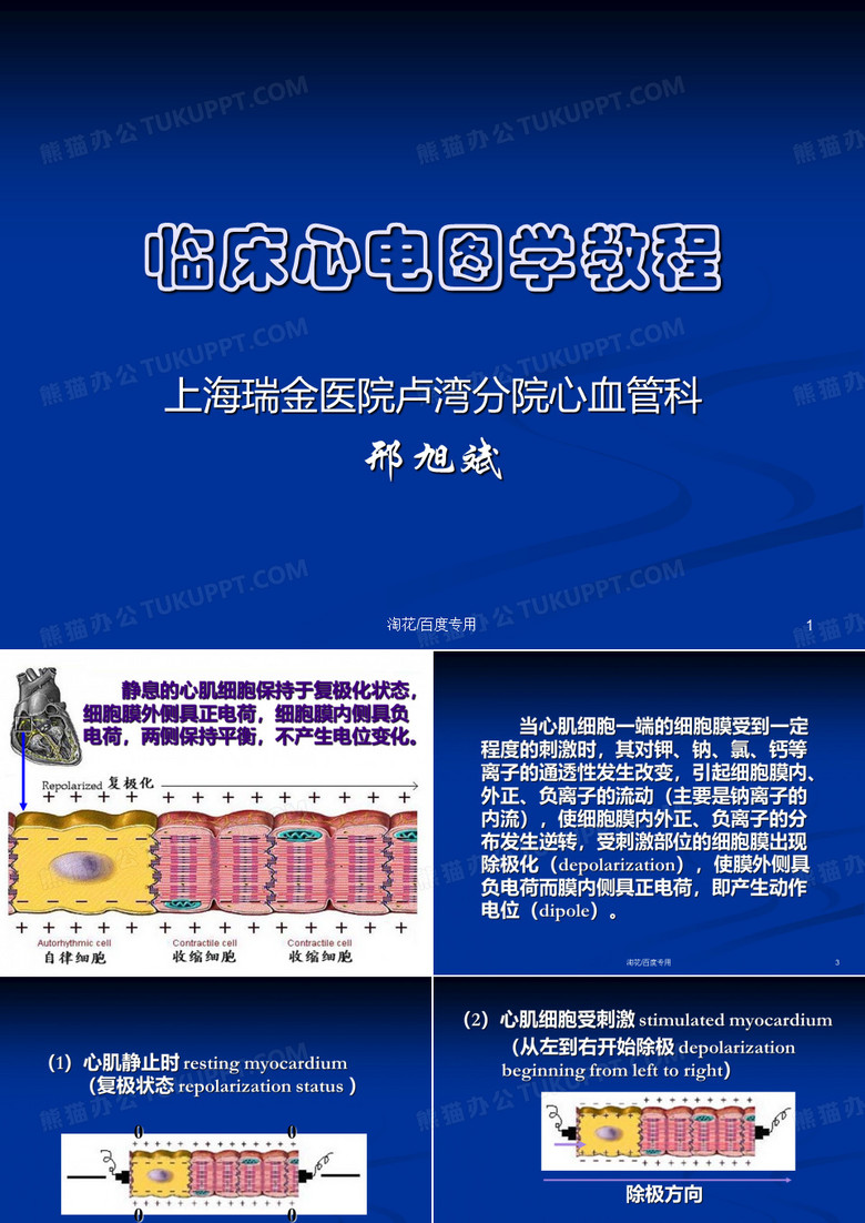 心电图学