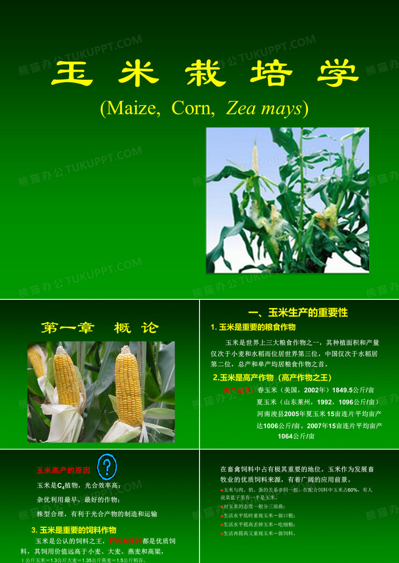 玉米栽培学
