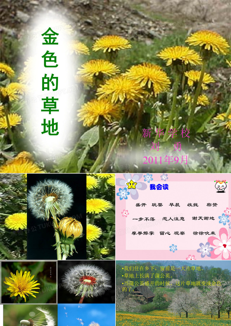 金色的草地