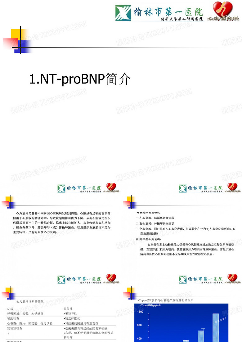 NTproBNP 心内科
