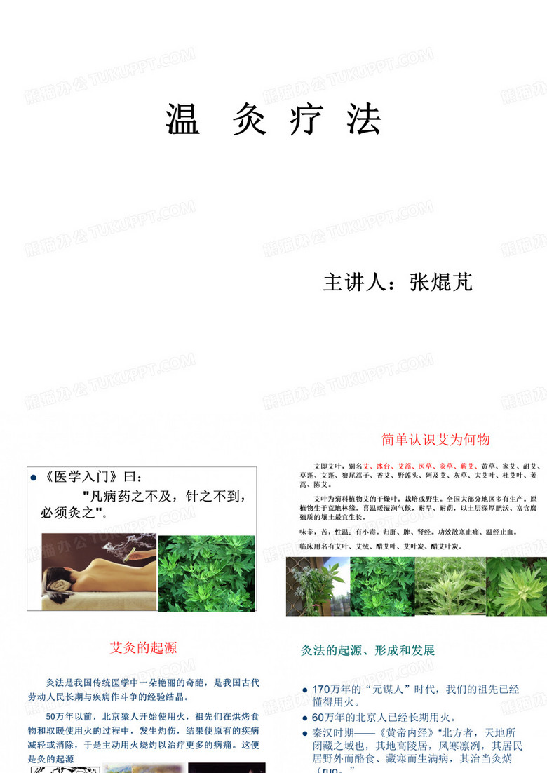 中医艾灸