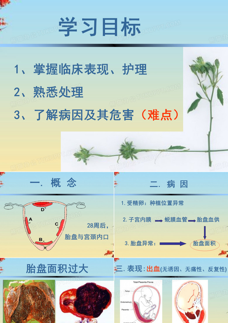 前置胎盘护理