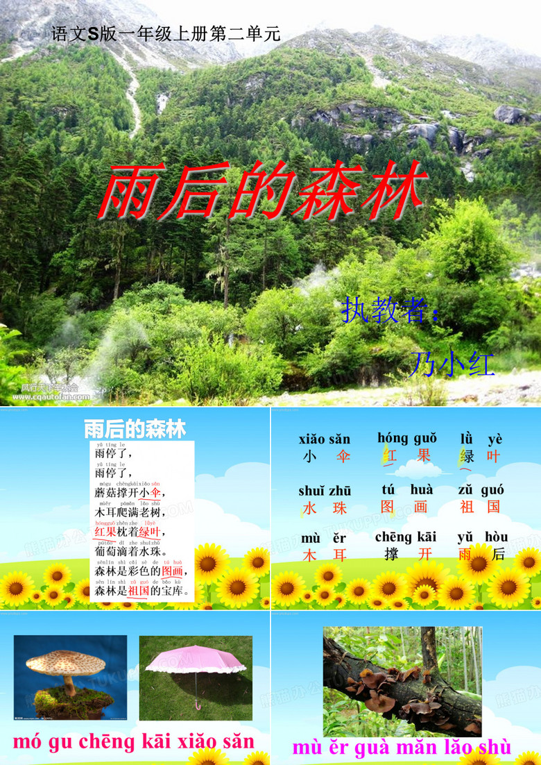 《雨后的森林》