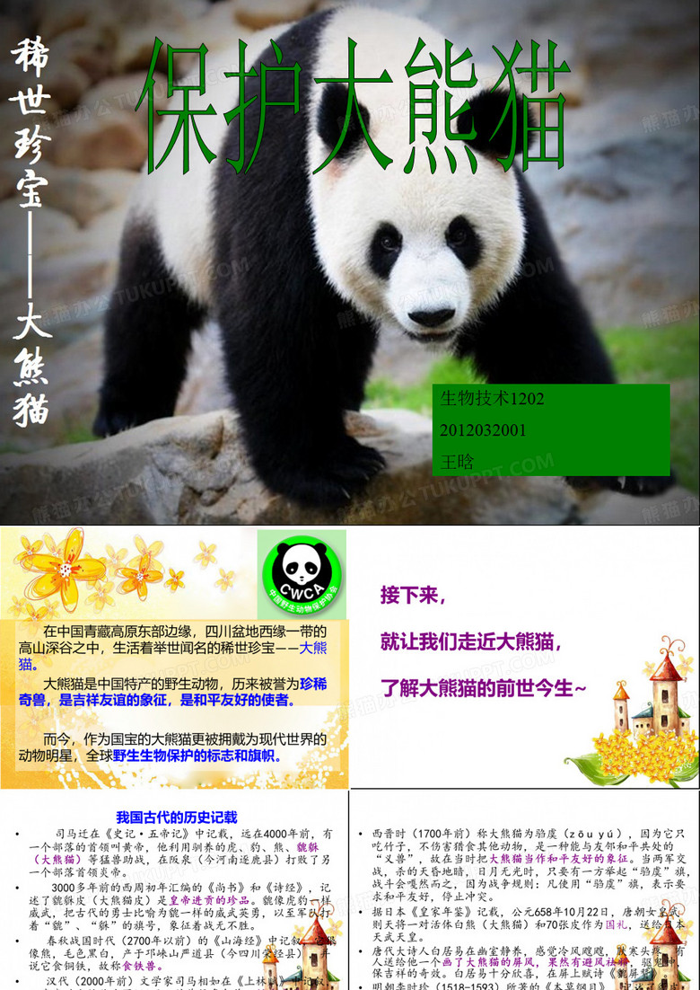 保护大熊猫