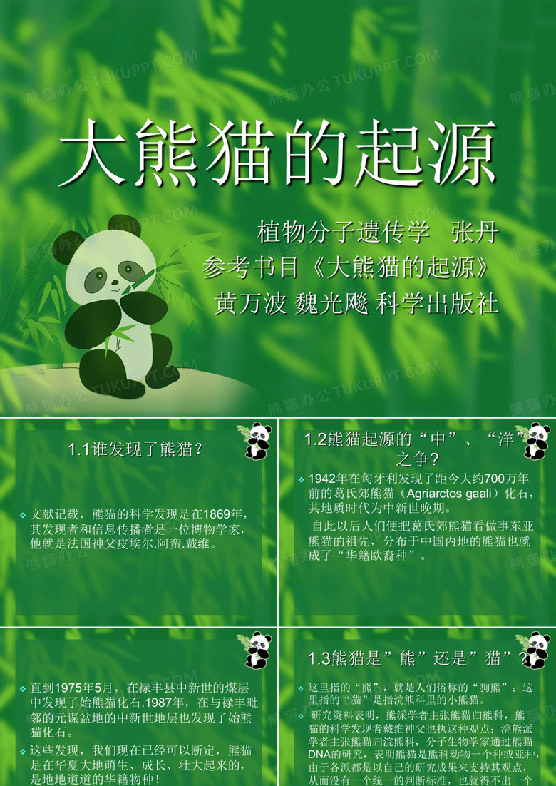 大熊猫的起源