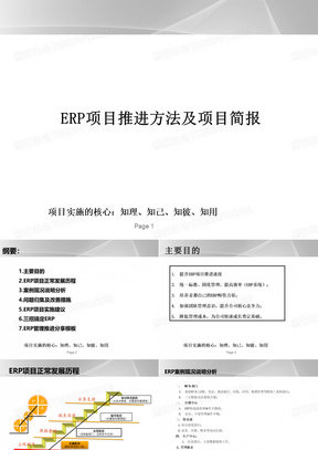 ERP项目推进方法及项目简报