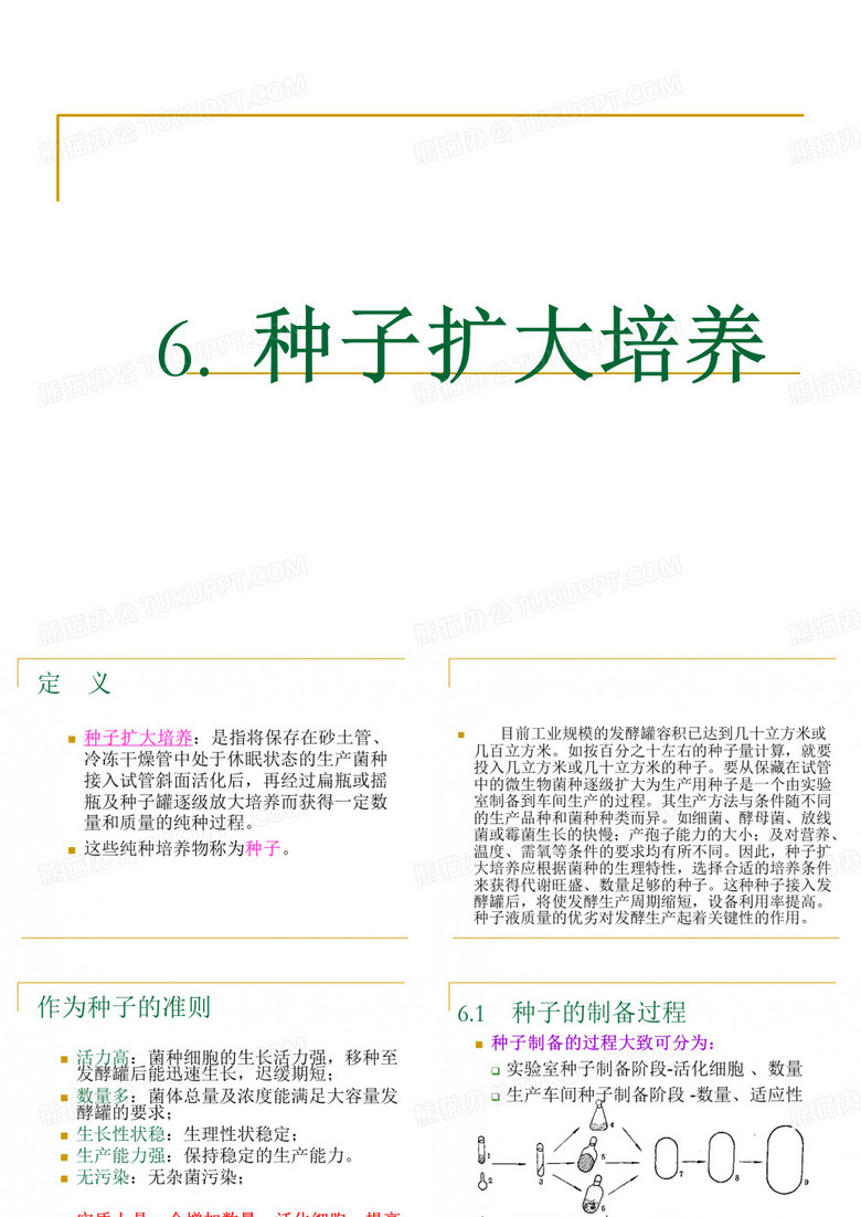 种子扩大培养