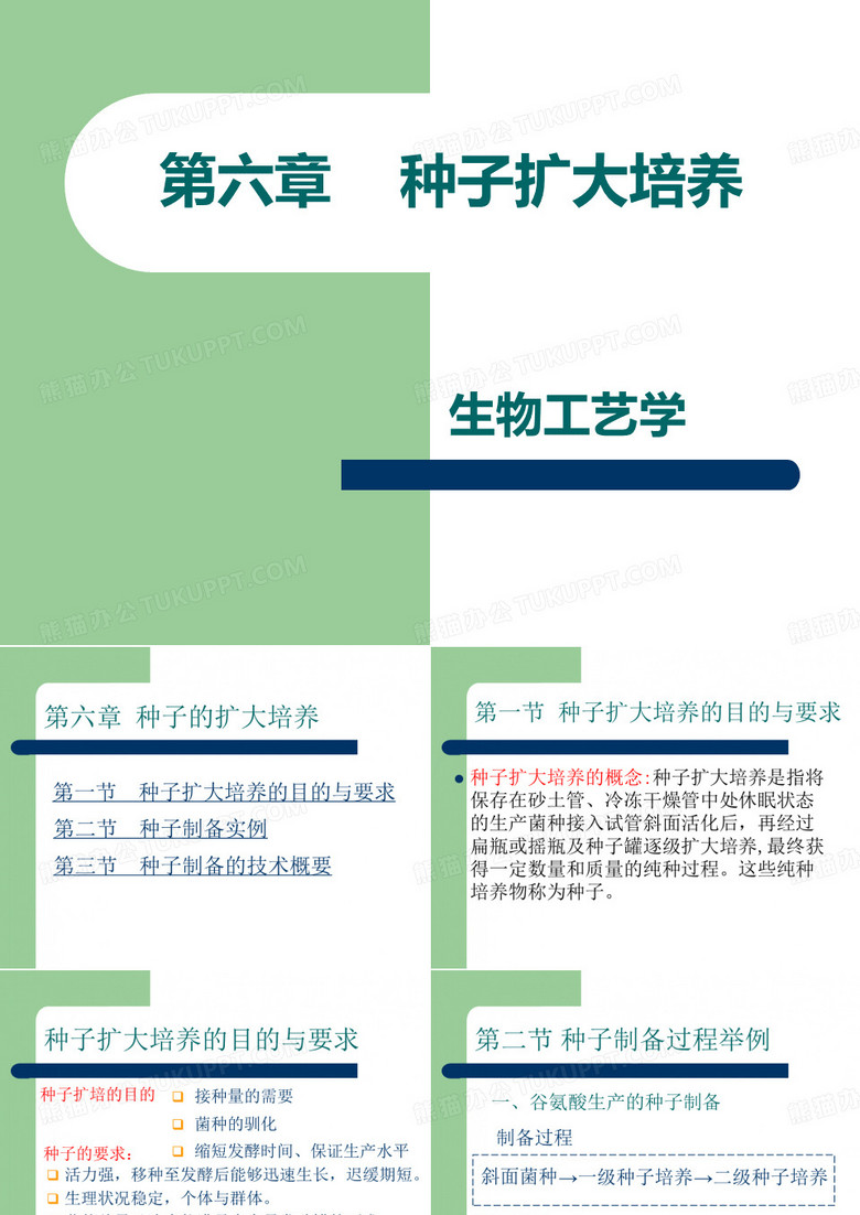 种子的扩大培养