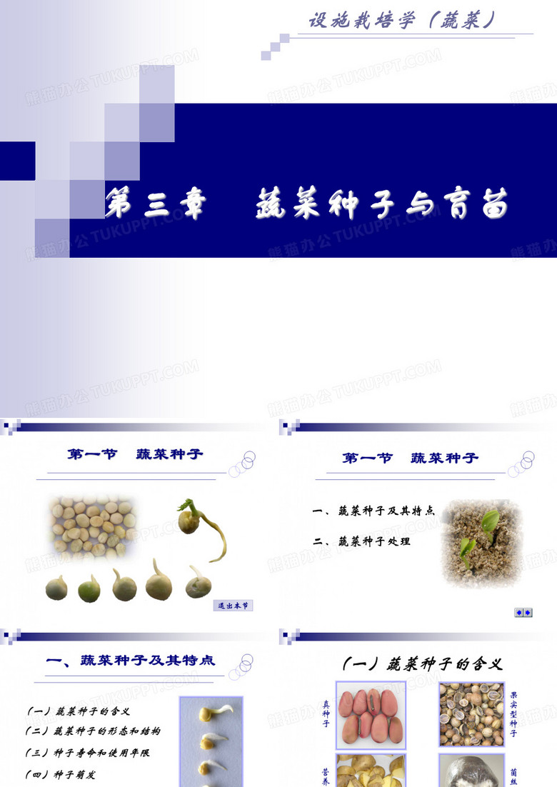 蔬菜种子与育苗