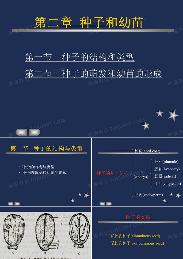 种子和幼苗