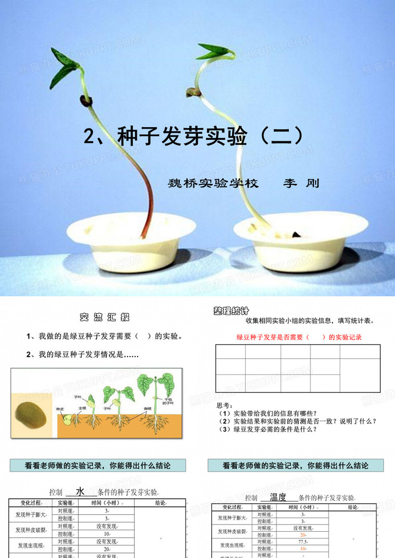 种子发芽实验