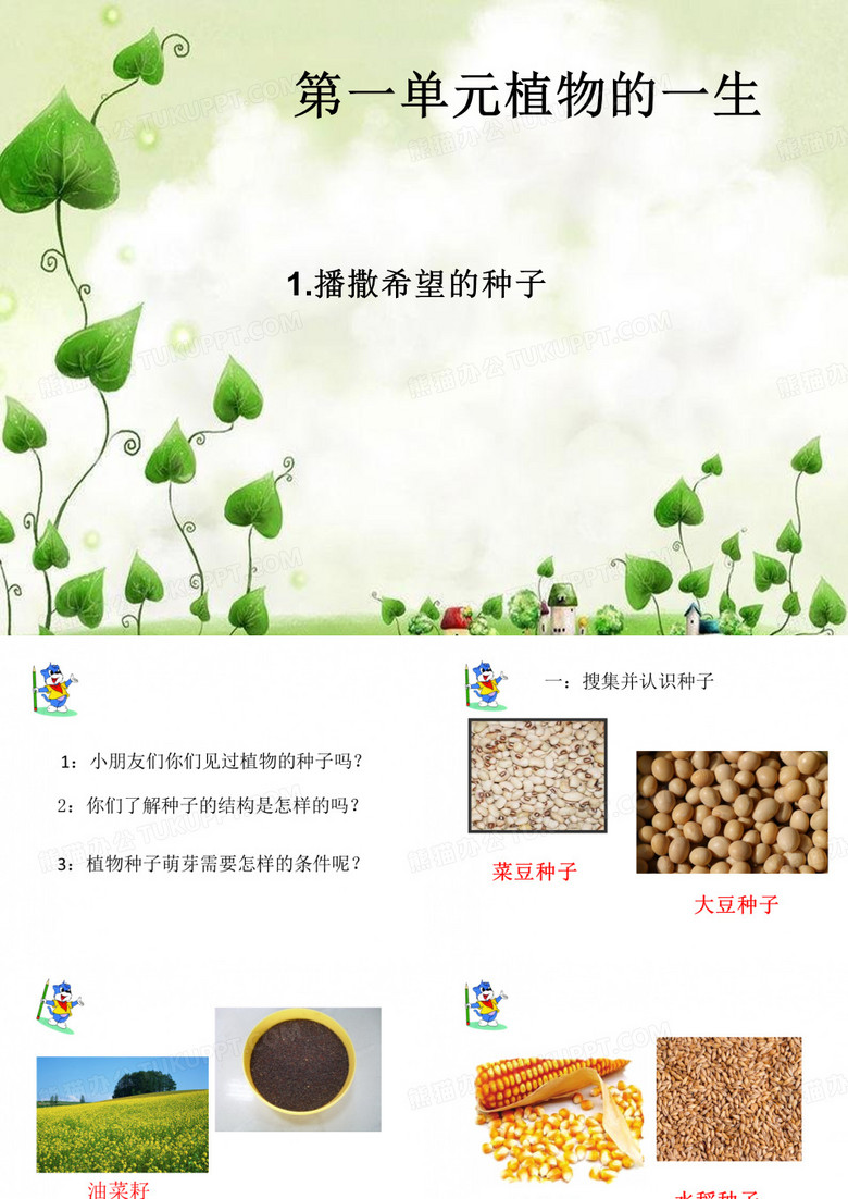 播撒希望的种子