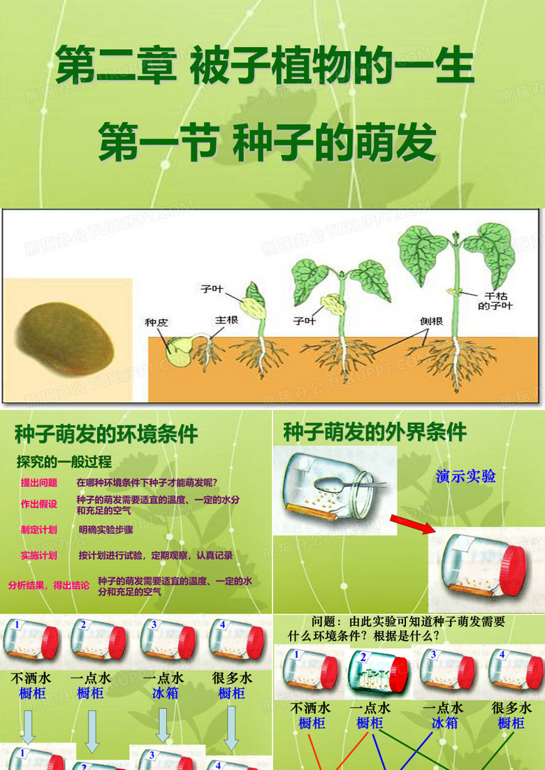 种子的萌发_14