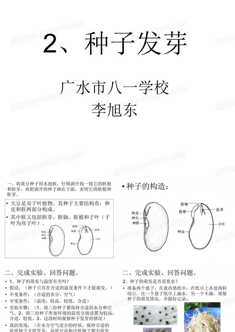 2、种子发芽