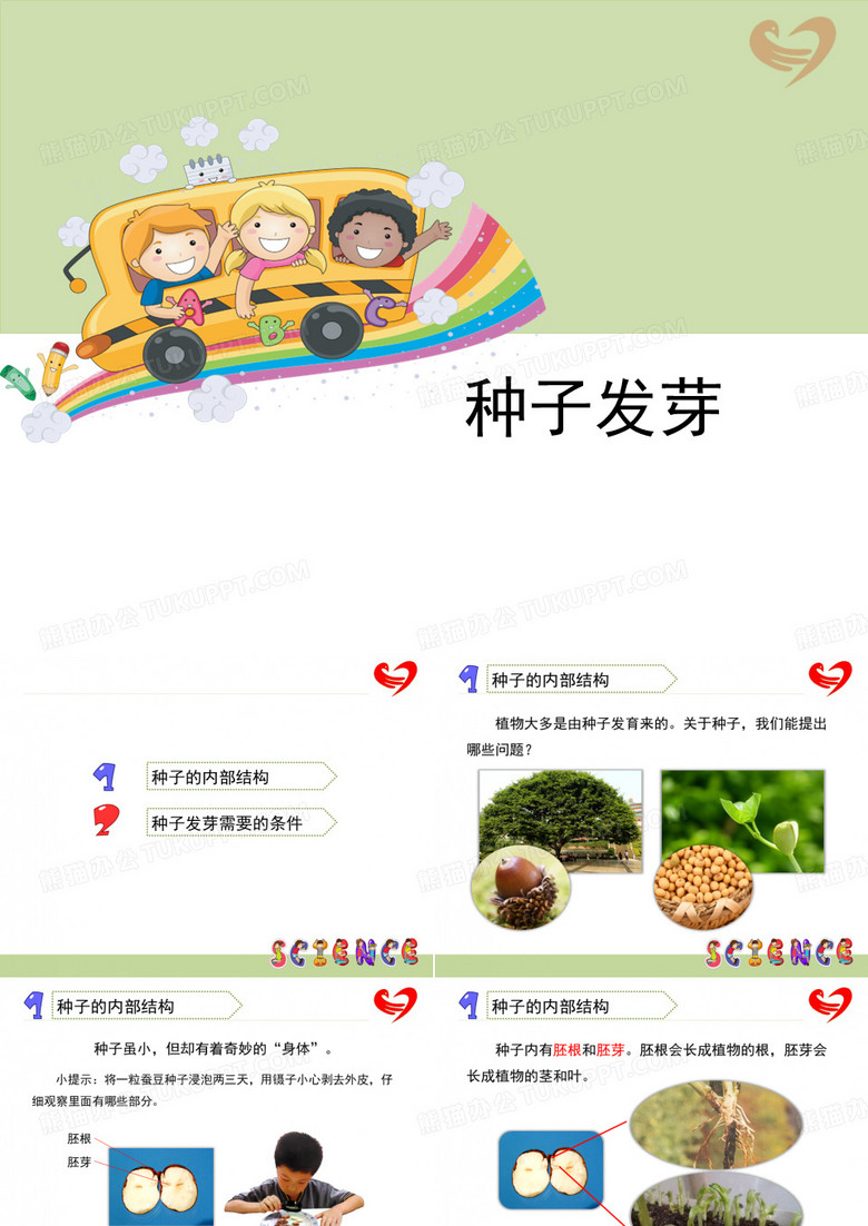 《种子发芽》教学课件