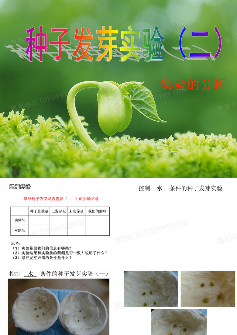 种子发芽实验(二)