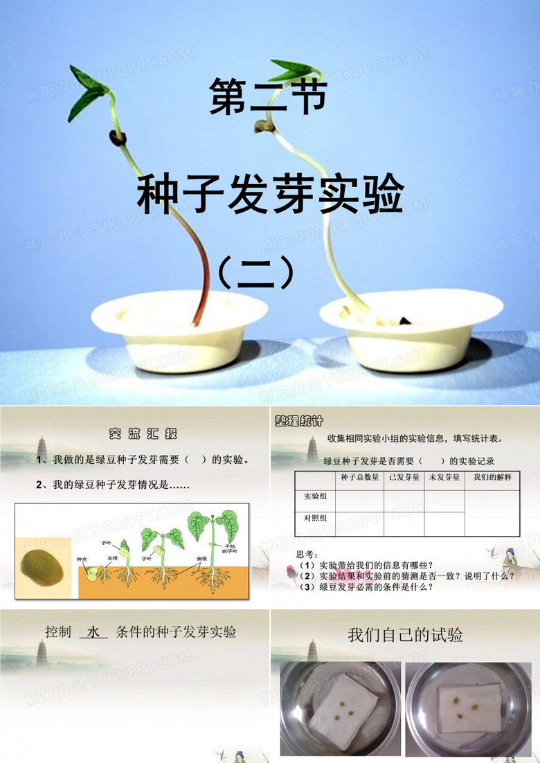 种子发芽实验 PPT