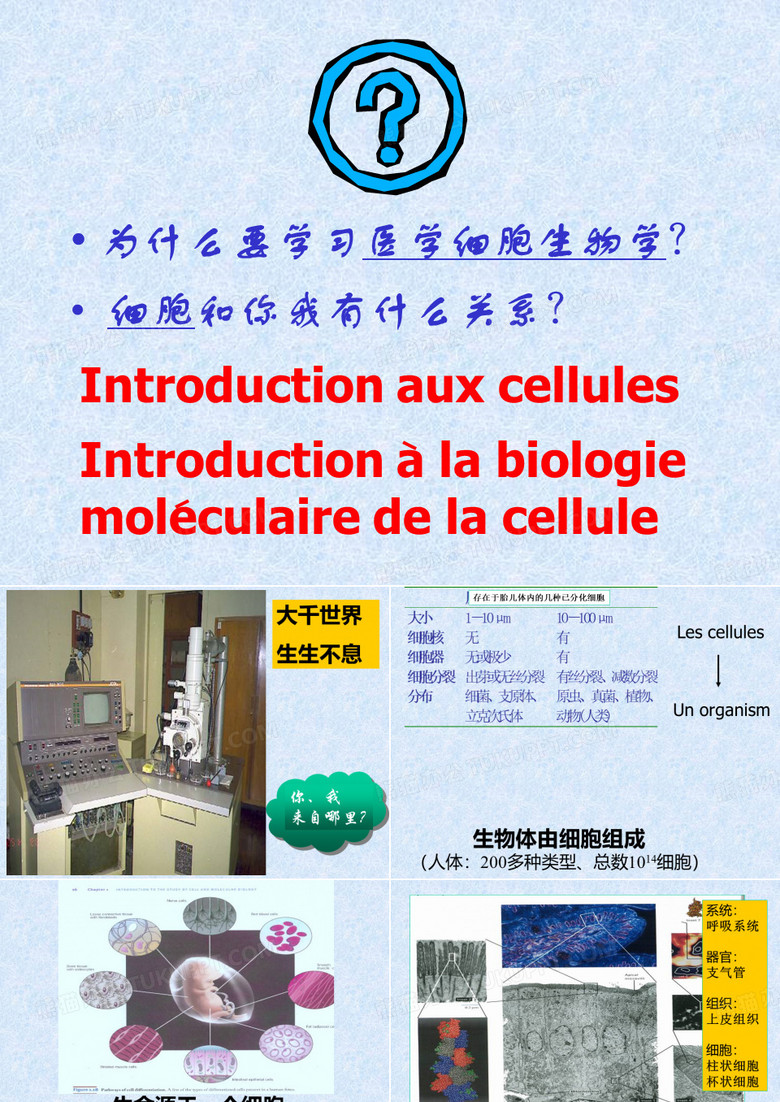 细胞生物学与医学细胞生物学课件