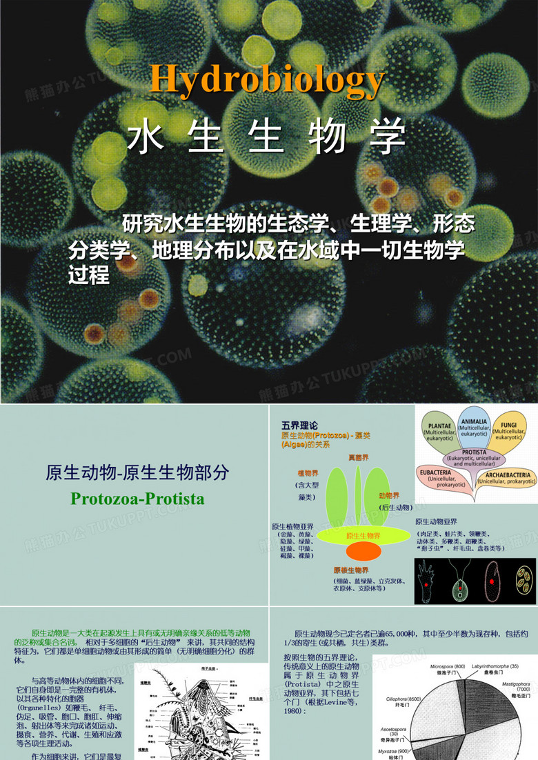 (水生生物学Hydrobiology)水生生物学-1