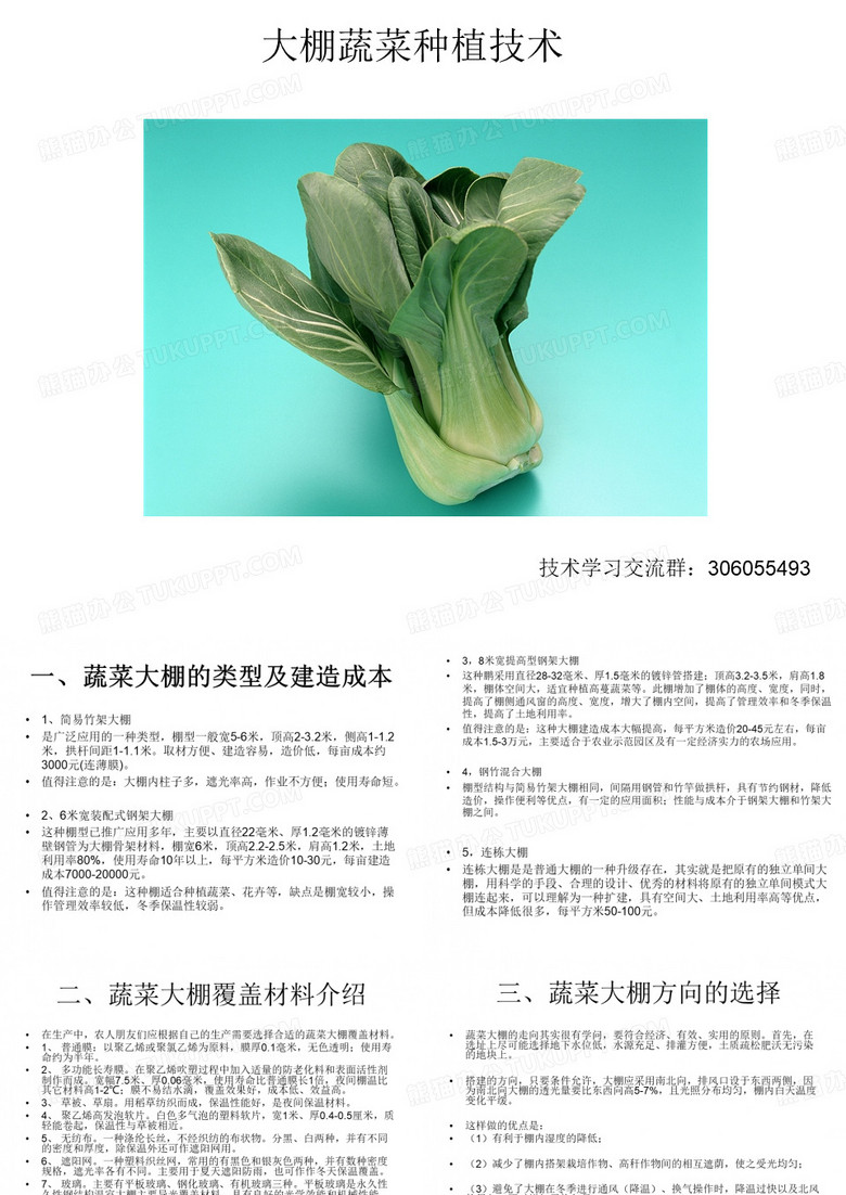 大棚蔬菜种植技术