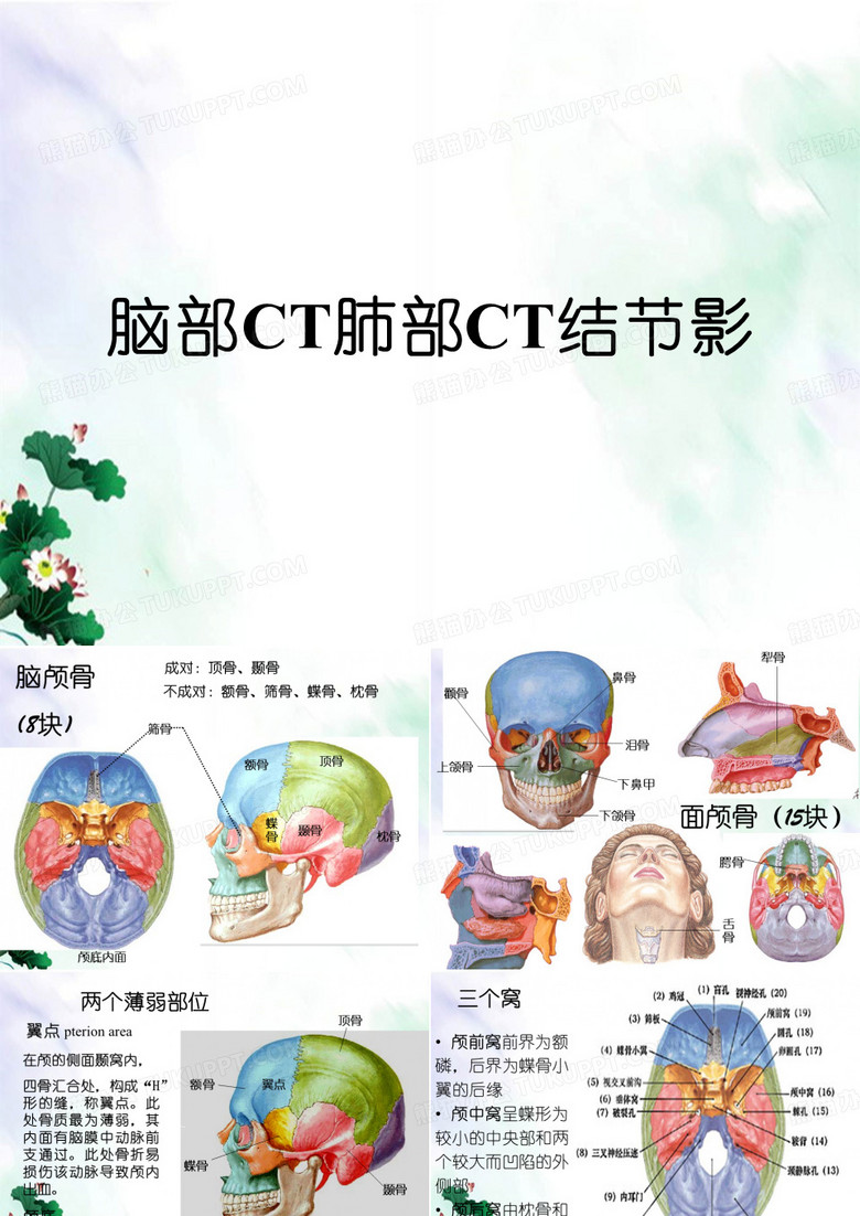 脑部CT肺部CT结节影
