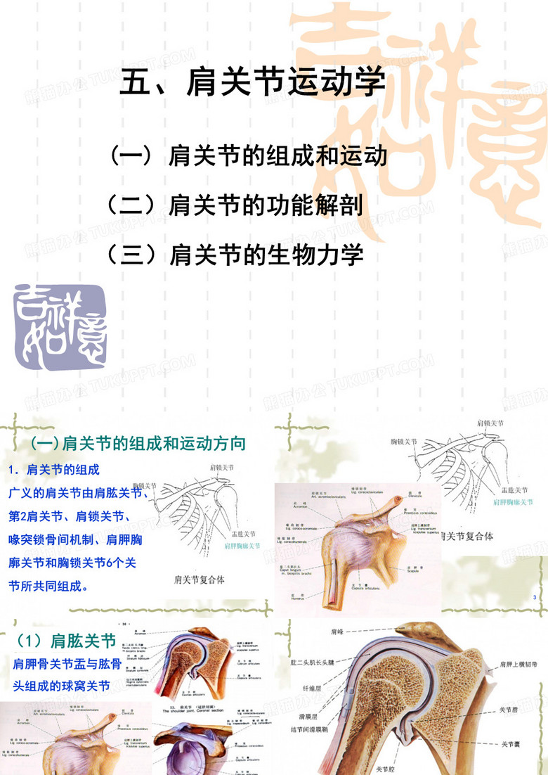 肩关节运动学