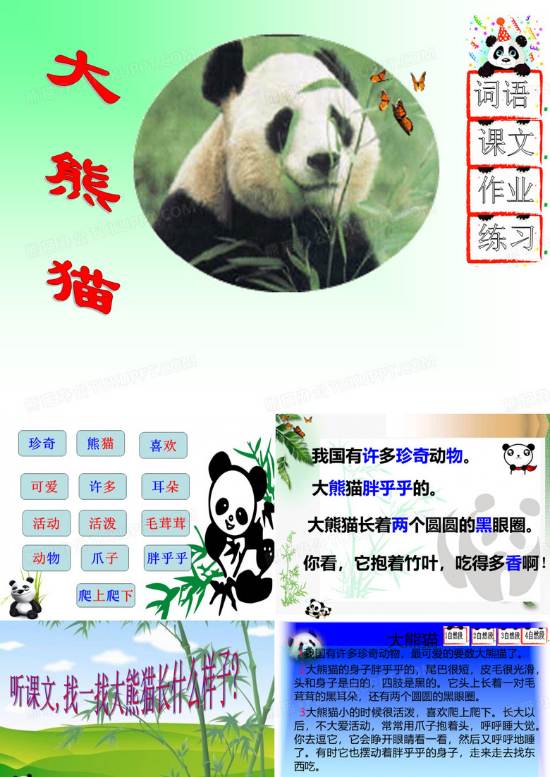 《大熊猫》教学课件
