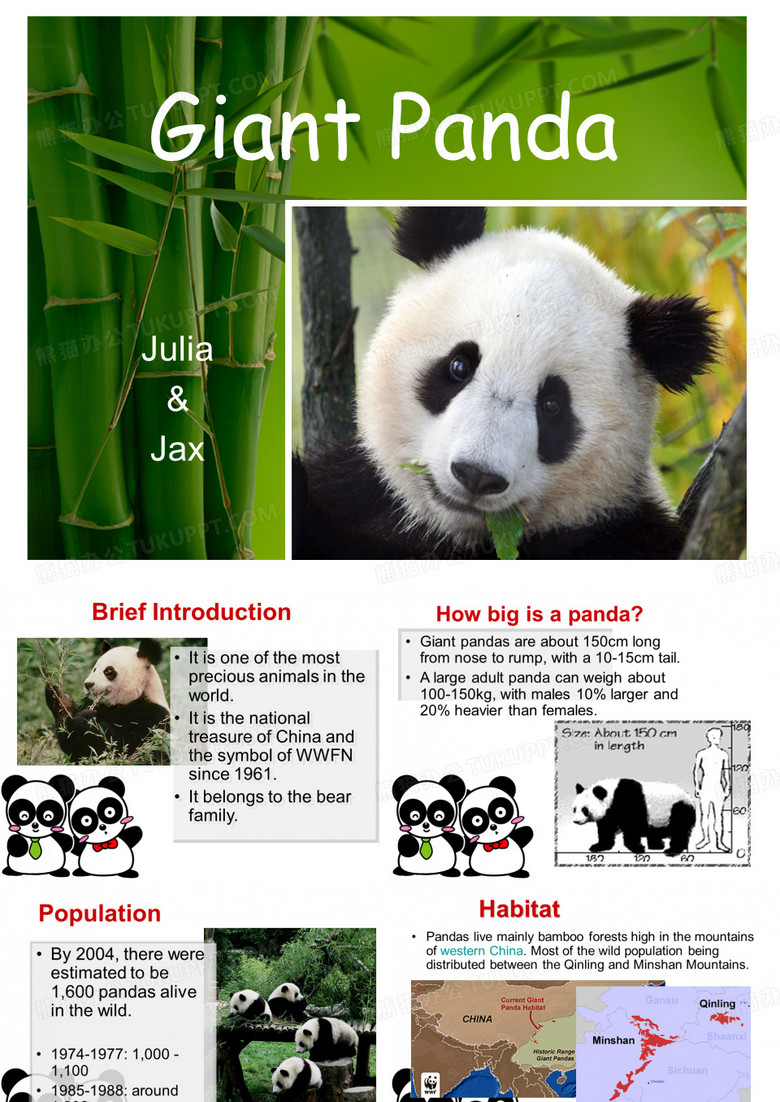 Introduction-of-Giant-Panda大熊猫英文介绍
