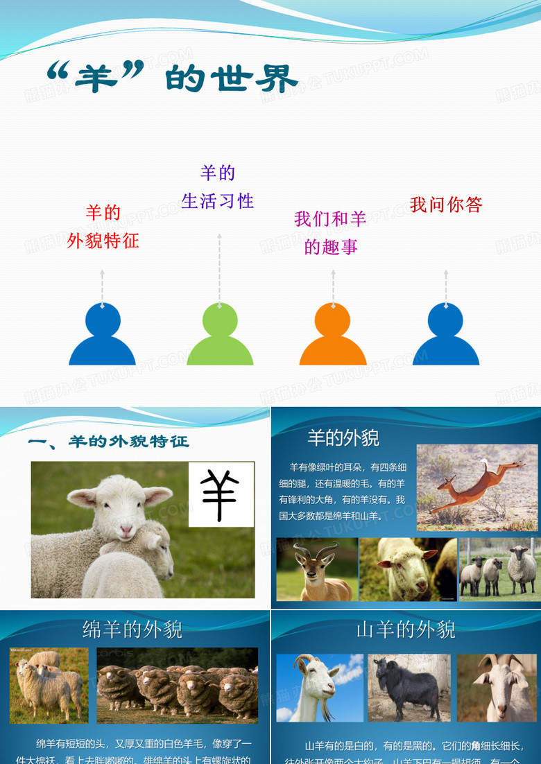 羊的介绍