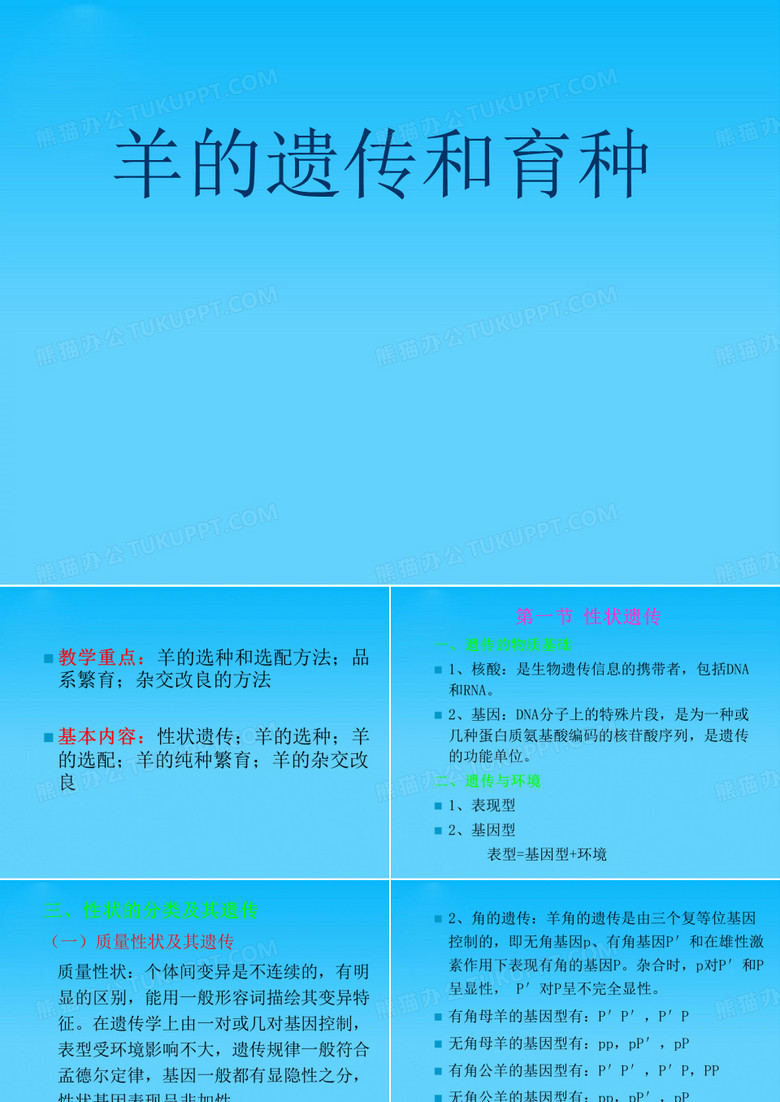 羊的遗传和育种
