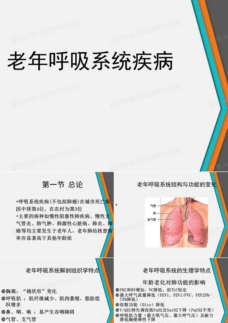 老年呼吸系统疾病