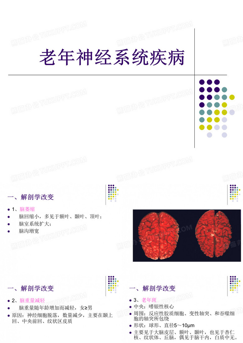 老年神经系统疾病